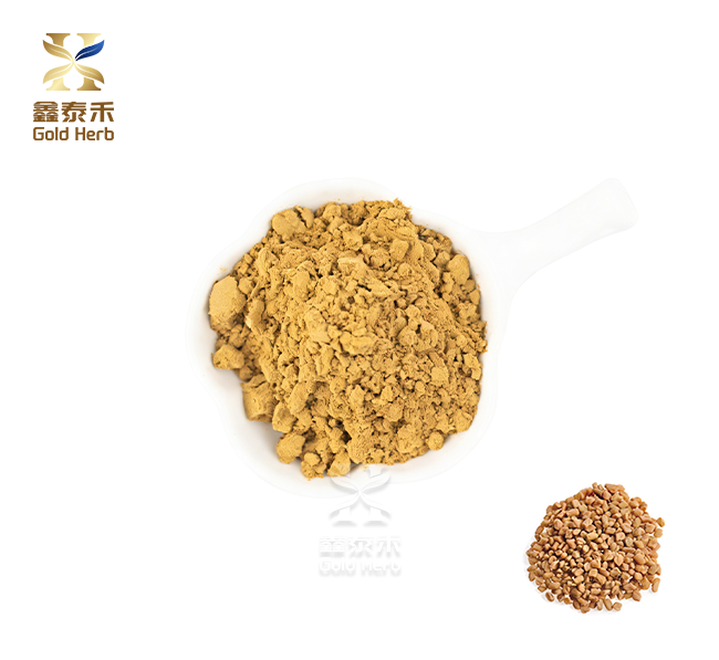 Common Fenugreek Seed Powder